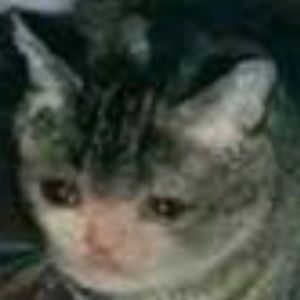 Meet your Posher, Ricky